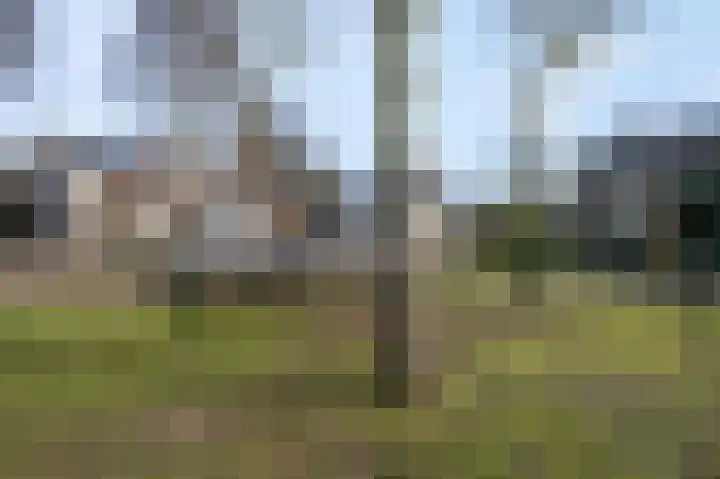 Planterslaan 9 Leersum thumbnail 44