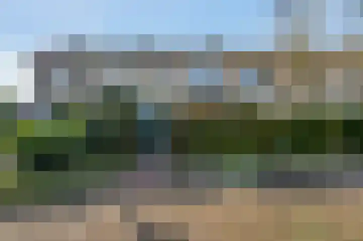 Planterslaan 9 Leersum thumbnail 47