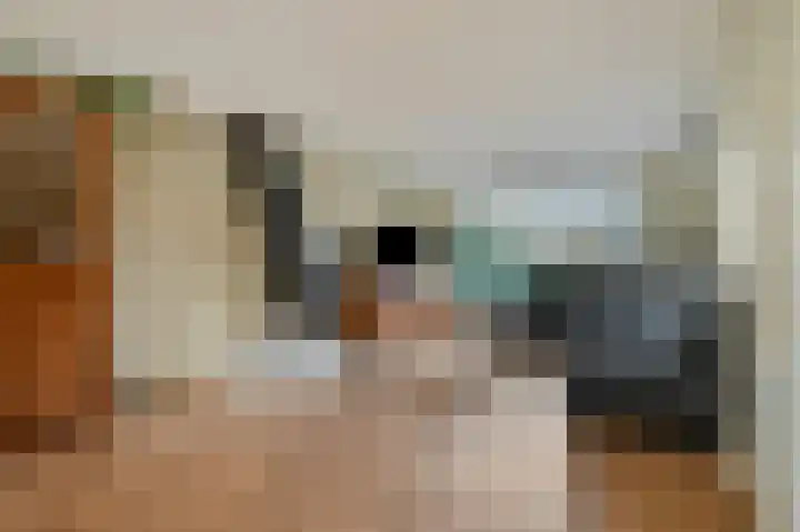 Planterslaan 9 Leersum thumbnail 5