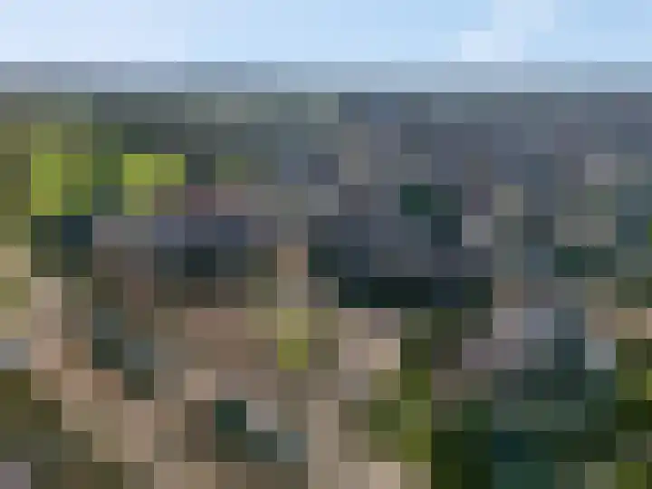 Planterslaan 9 Leersum thumbnail 51