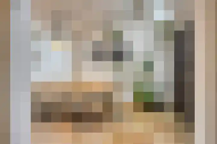 Plantsoen 16 Heesch thumbnail 21