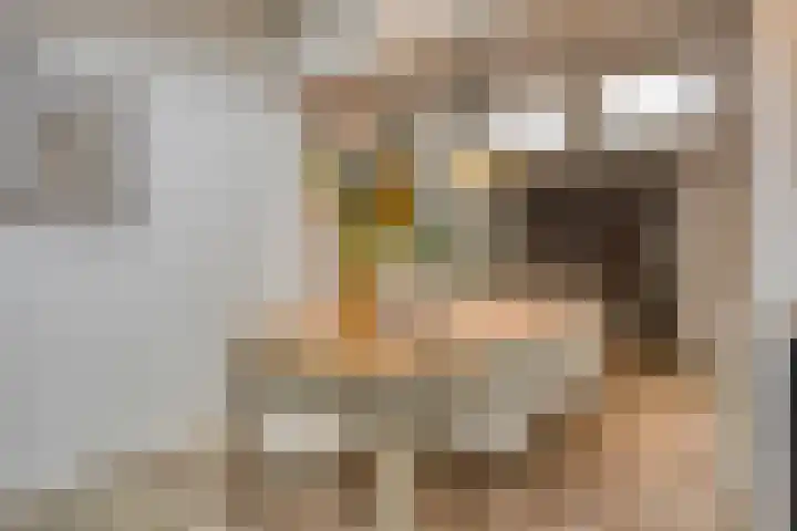 Plantsoen 16 Heesch thumbnail 22