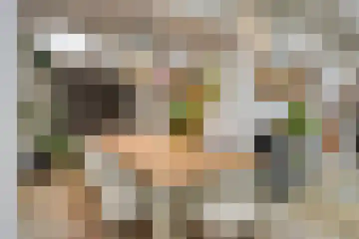Plantsoen 16 Heesch thumbnail 23