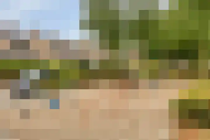 Plantsoen 16 Heesch thumbnail 52
