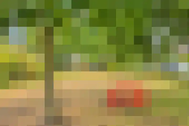 Plantsoen 16 Heesch thumbnail 53