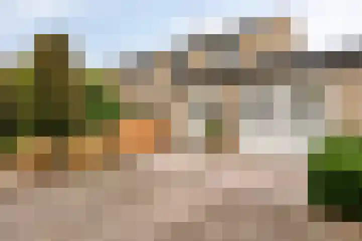 Plantsoen 16 Heesch thumbnail 56