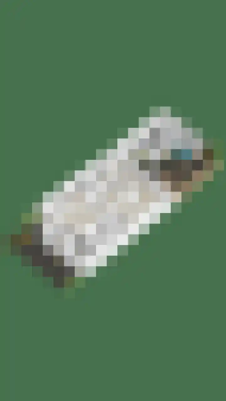 Plantsoen 16 Heesch thumbnail 58