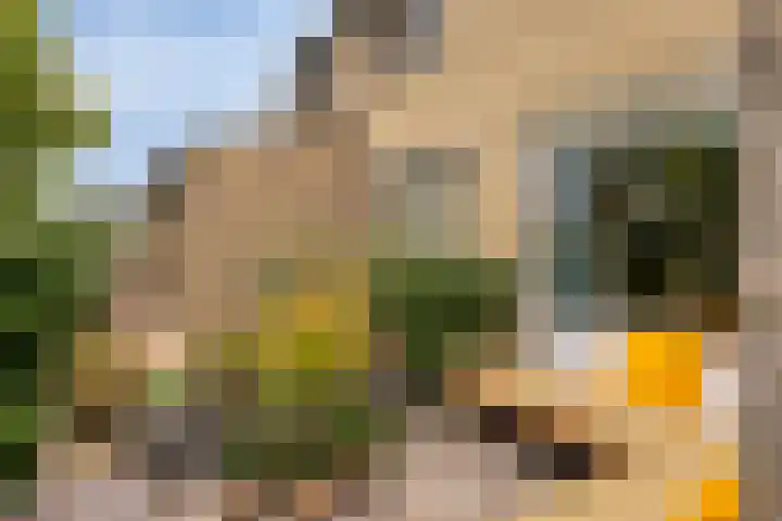 Plantsoen 16 Heesch thumbnail 7