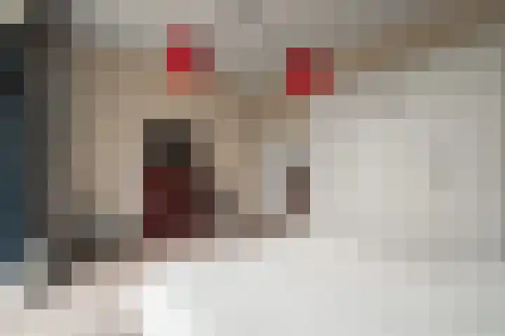 Plantsoen 20 Schagen thumbnail 14