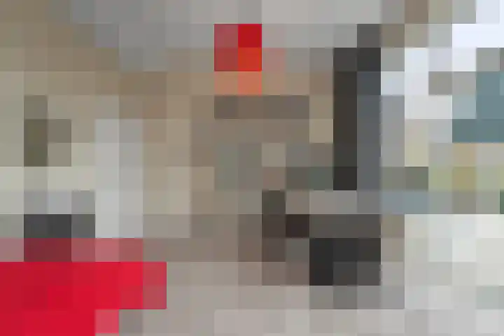 Plantsoen 20 Schagen thumbnail 20