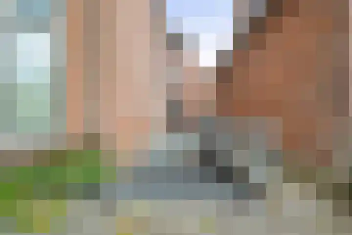 Plantsoen 20 Schagen thumbnail 23