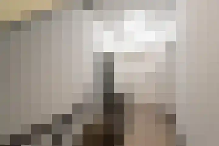 Plantsoen 20 Schagen thumbnail 26