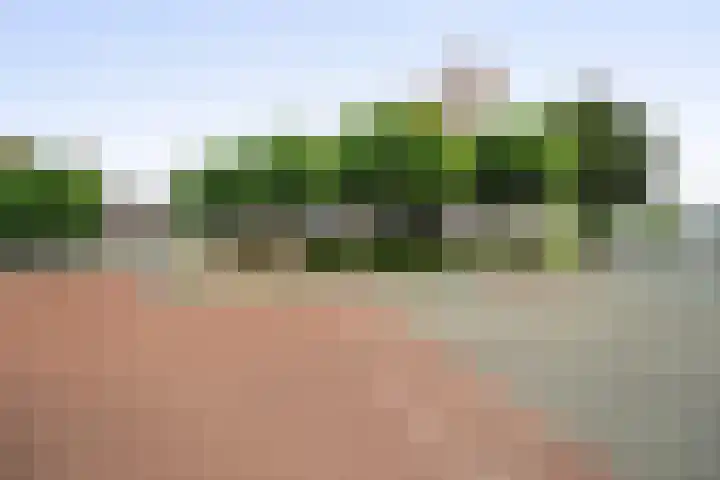Plantsoen 20 Schagen thumbnail 28