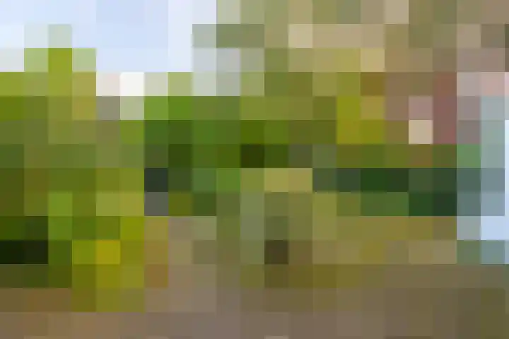 Plantsoen 23 Leiden thumbnail 39