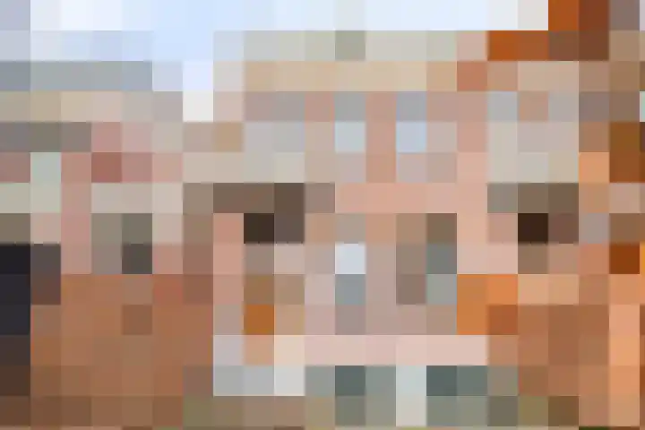 Plantsoen 23 Leiden thumbnail 4