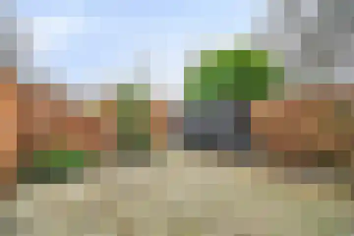 Plantsoen 23 Leiden thumbnail 93