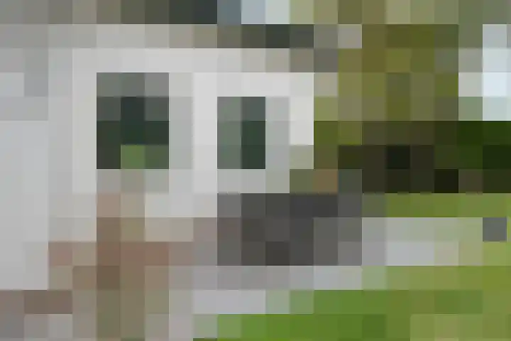 Plantsoen 23 Leiden thumbnail 94