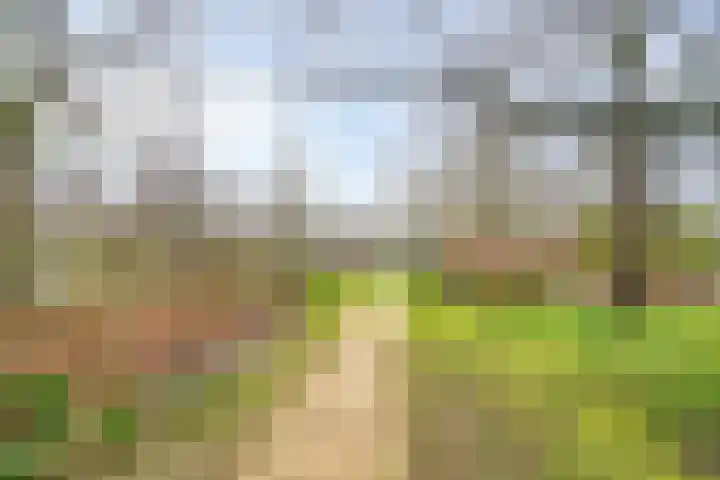 Plantsoen 23 Leiden thumbnail 96