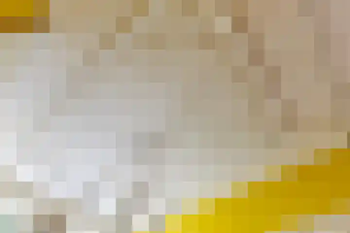 Plantsoen 97 Leiden thumbnail 8