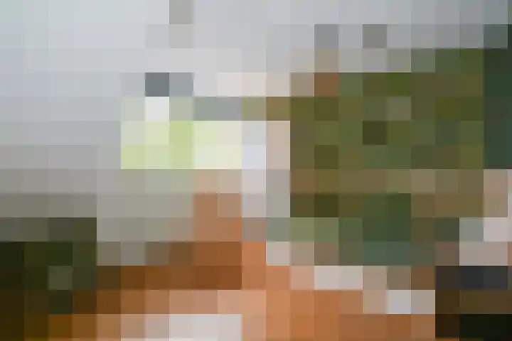 Plaspoelkade 5 Leidschendam thumbnail 21