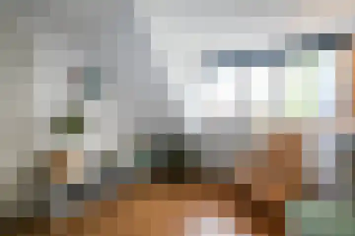 Plaspoelkade 5 Leidschendam thumbnail 23