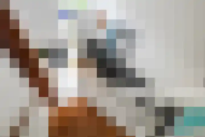 Plaspoelkade 5 Leidschendam thumbnail 4