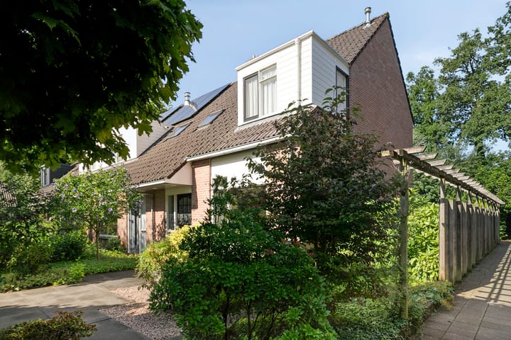 Plataan 20 in Heino foto