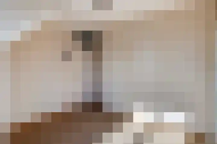 Plataan 20 Heino thumbnail 19