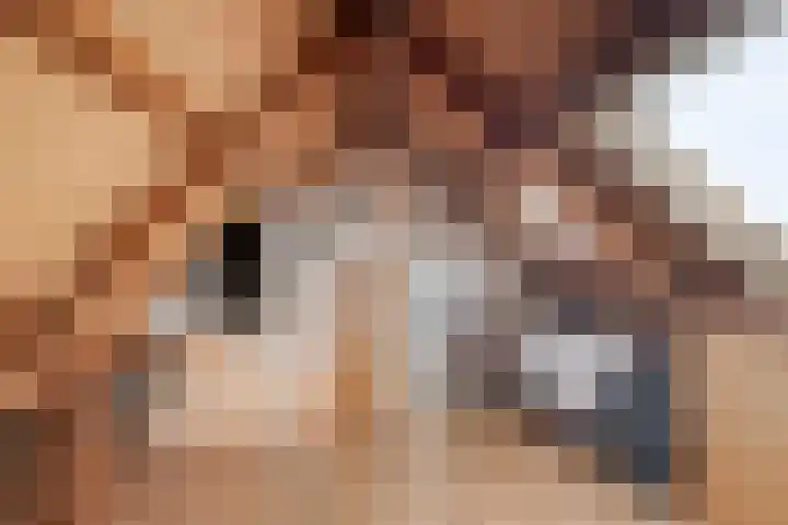 Plataan 20 Heino thumbnail 21