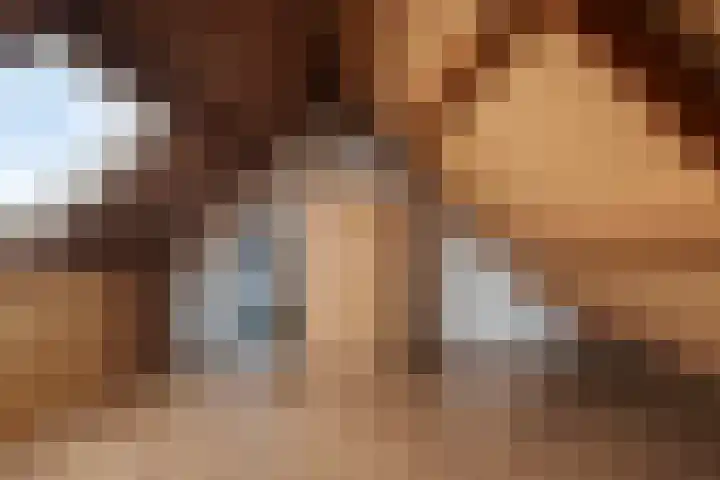 Plataan 20 Heino thumbnail 22