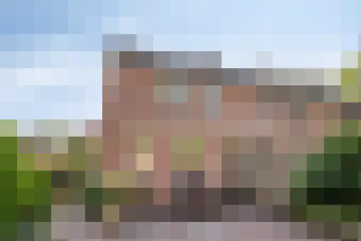 Plataan 20 Heino thumbnail 23