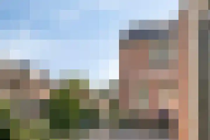 Plataan 20 Heino thumbnail 28
