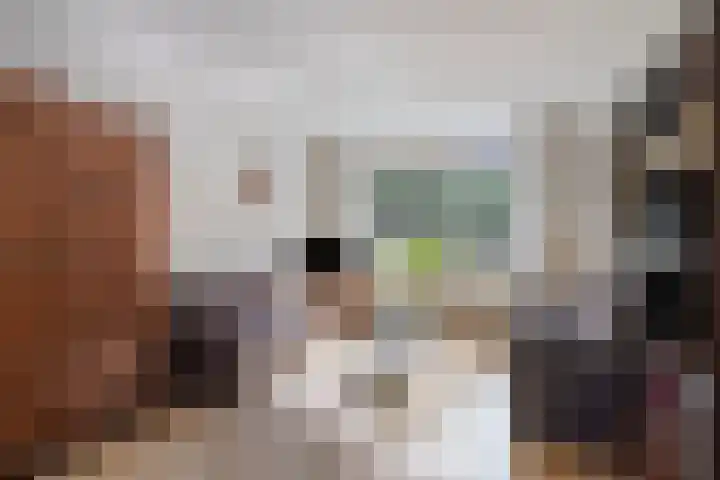 Plataan 20 Heino thumbnail 5