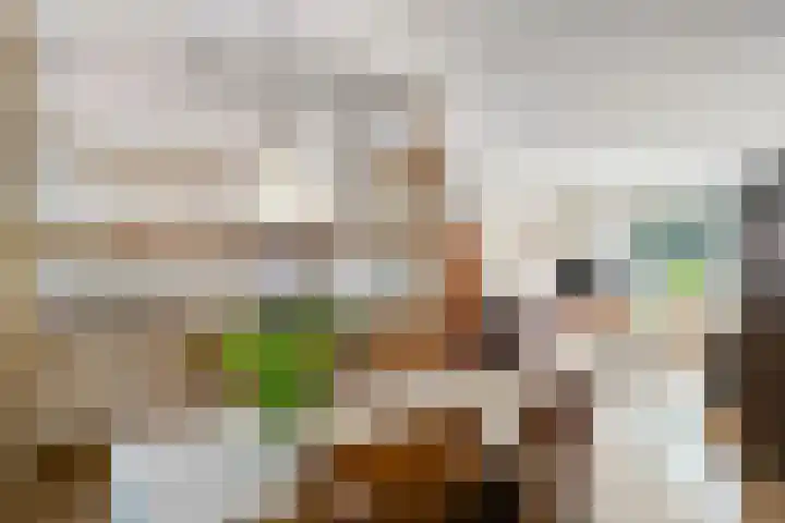 Plataan 20 Heino thumbnail 7
