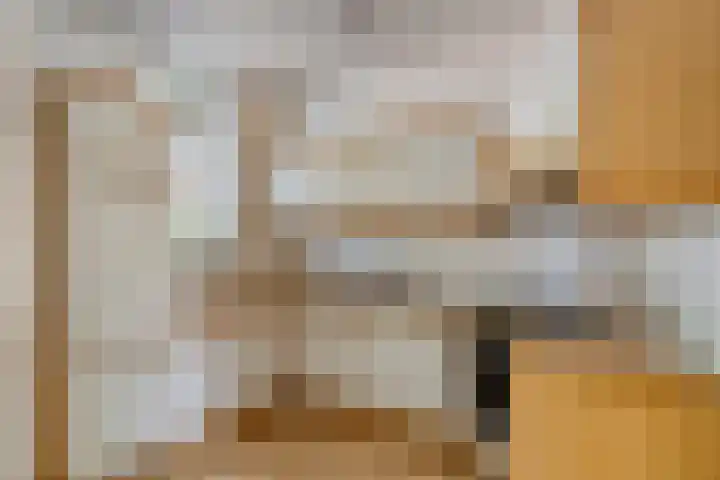 Plataan 20 Heino thumbnail 9