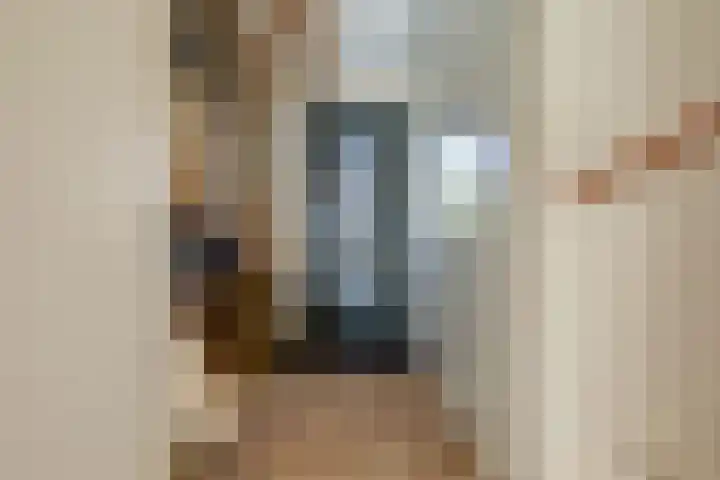 Plataan 3 Cuijk thumbnail 10