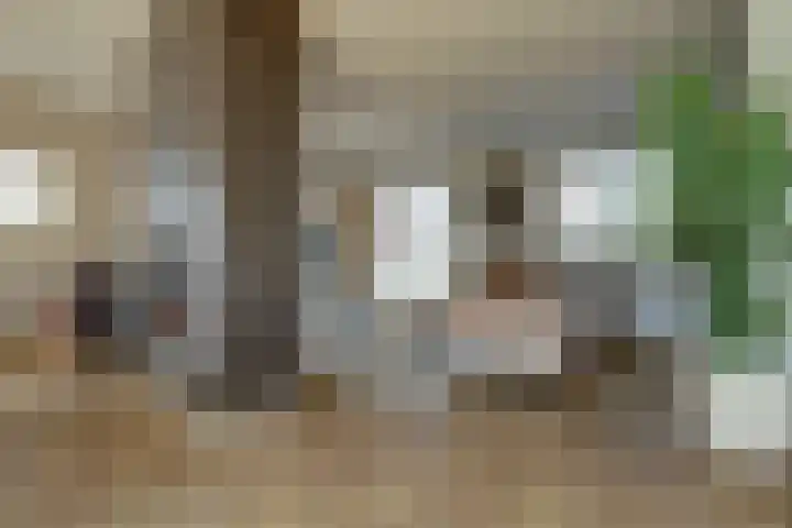 Plataan 3 Cuijk thumbnail 12