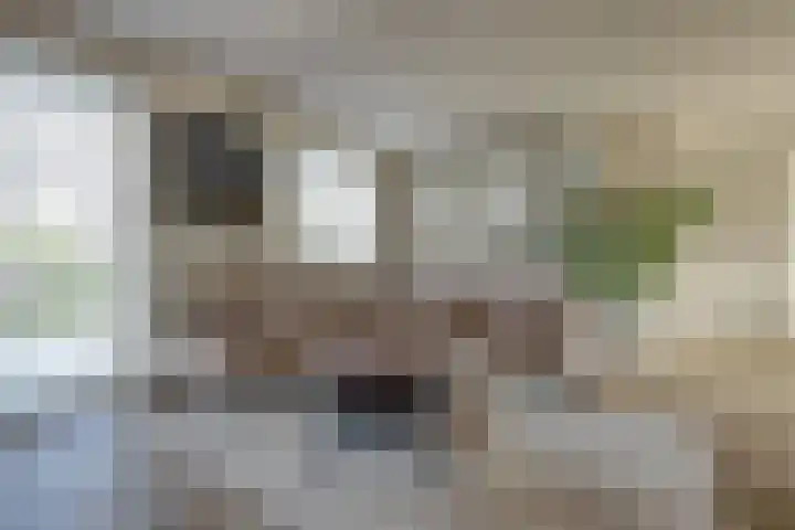 Plataan 3 Cuijk thumbnail 14