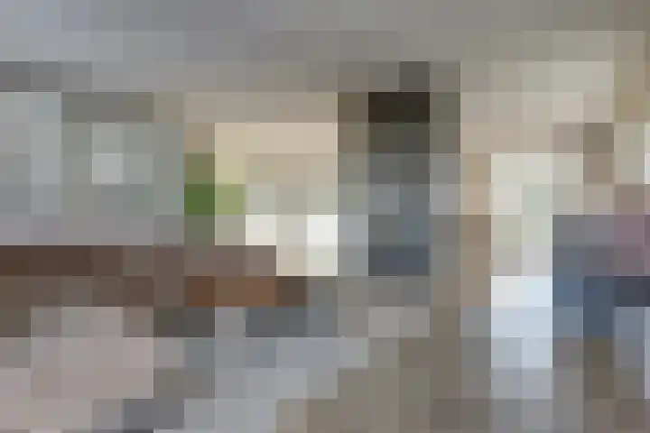 Plataan 3 Cuijk thumbnail 15