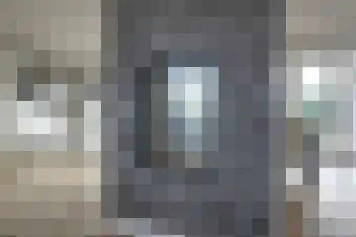 Plataan 3 Cuijk thumbnail 16