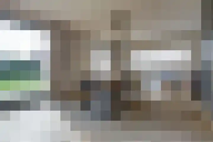 Plataan 3 Cuijk thumbnail 17