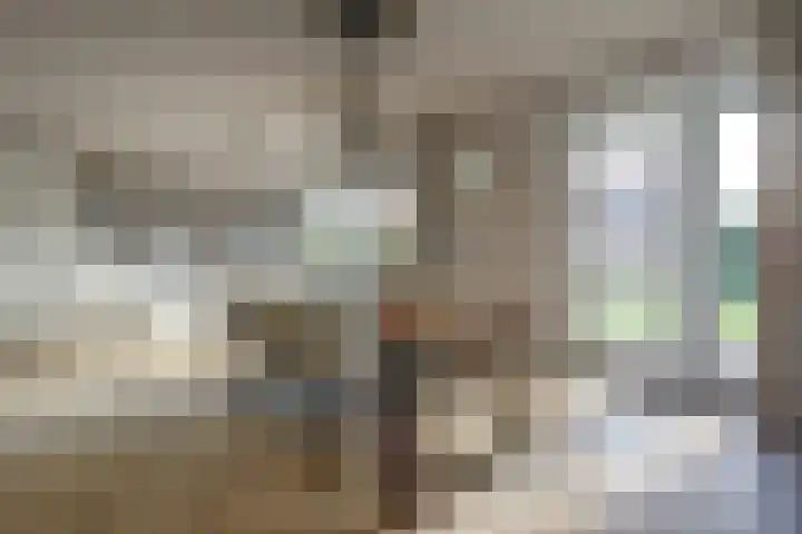 Plataan 3 Cuijk thumbnail 18
