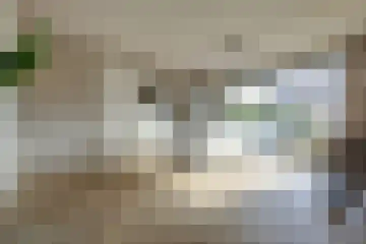 Plataan 3 Cuijk thumbnail 19