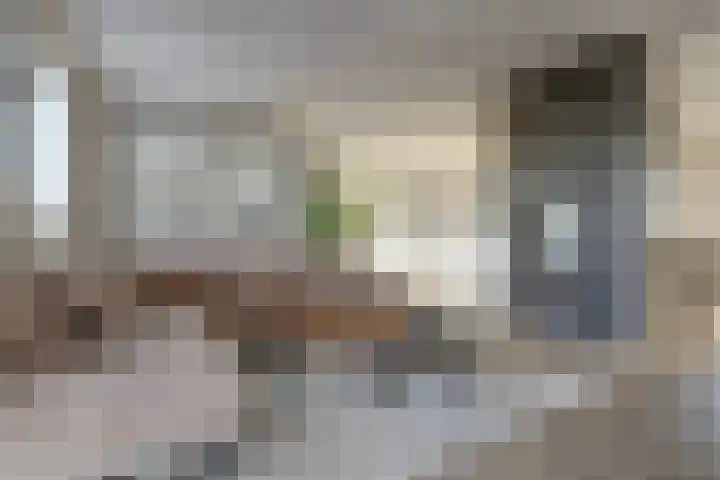 Plataan 3 Cuijk foto 2