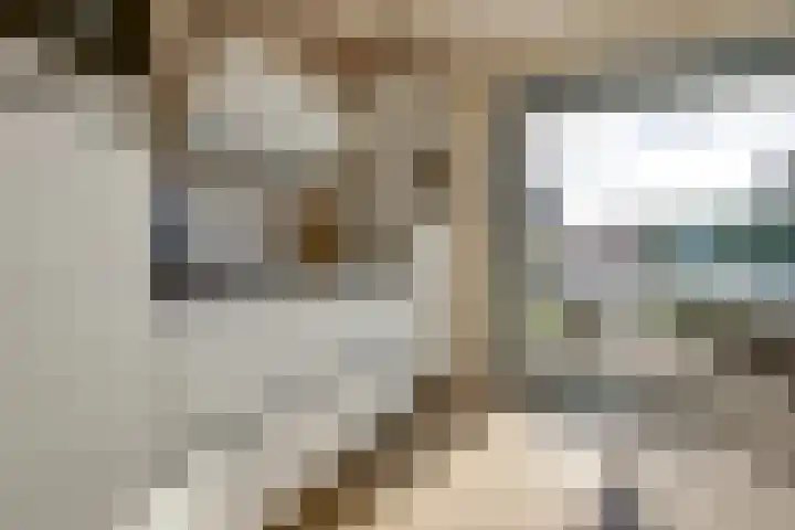 Plataan 3 Cuijk thumbnail 21