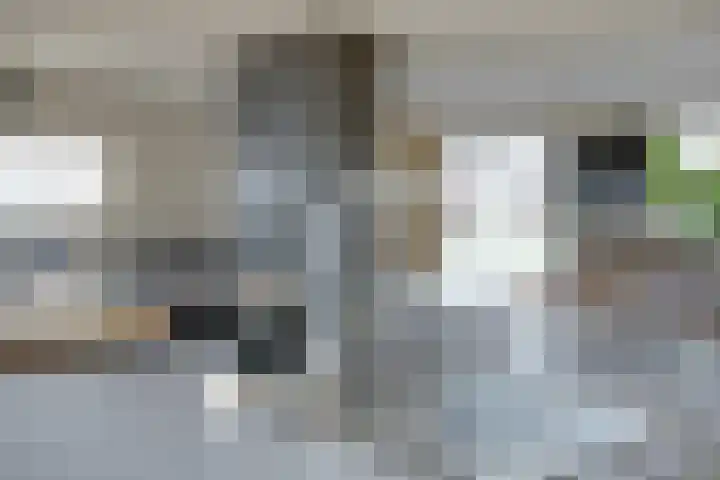 Plataan 3 Cuijk thumbnail 22