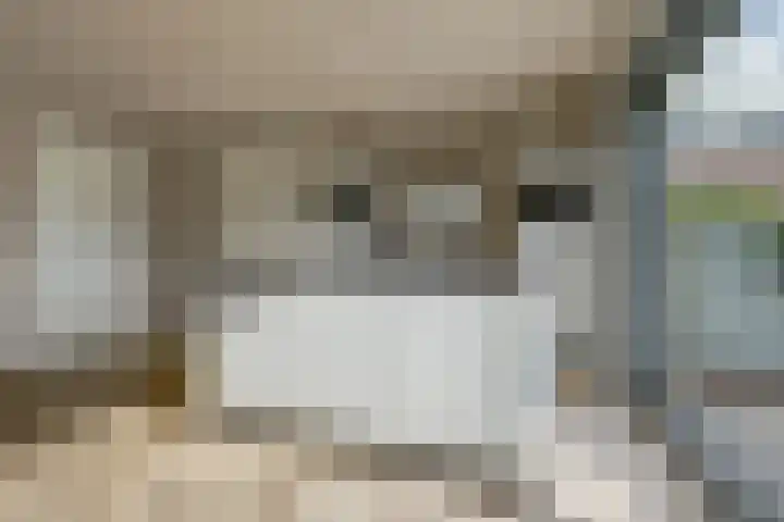Plataan 3 Cuijk thumbnail 23