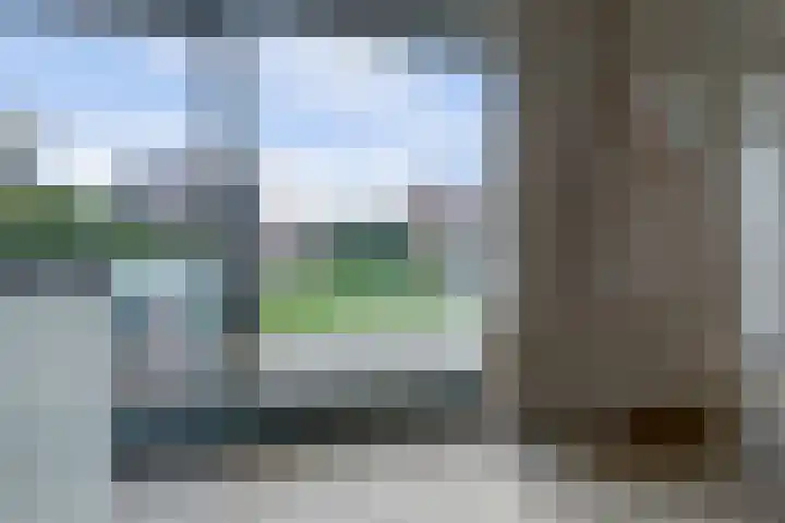 Plataan 3 Cuijk thumbnail 24