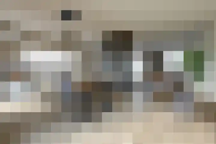 Plataan 3 Cuijk thumbnail 25