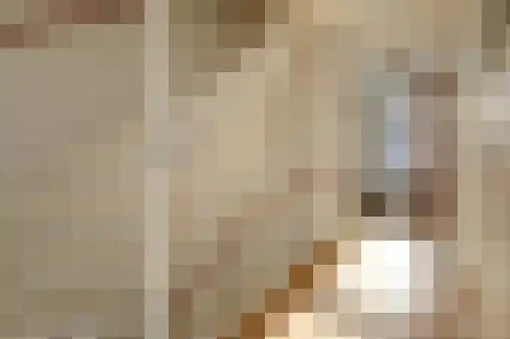 Plataan 3 Cuijk thumbnail 26